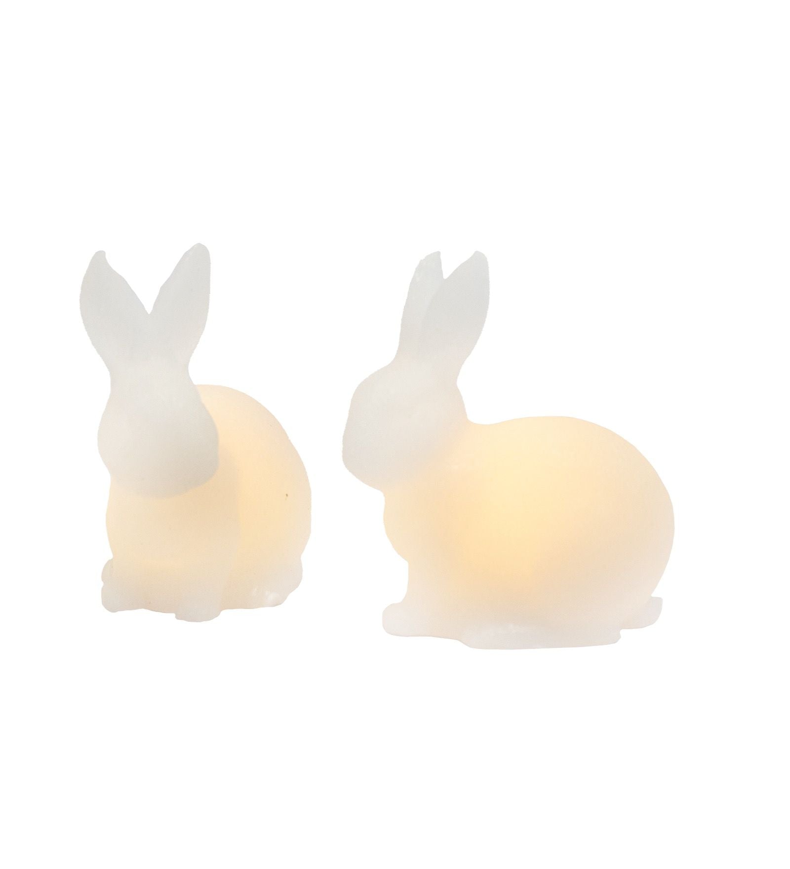 小天狼星Elin Rabbit LED LIDD 2 PC，白色