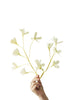 Studio su paper Branch Flower Grande, giallo