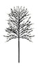 Sirius Noah Tree H220 cm musta, 480 le ds