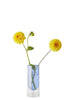 Studio sul vaso del tubo di fiori 16 cm, blu