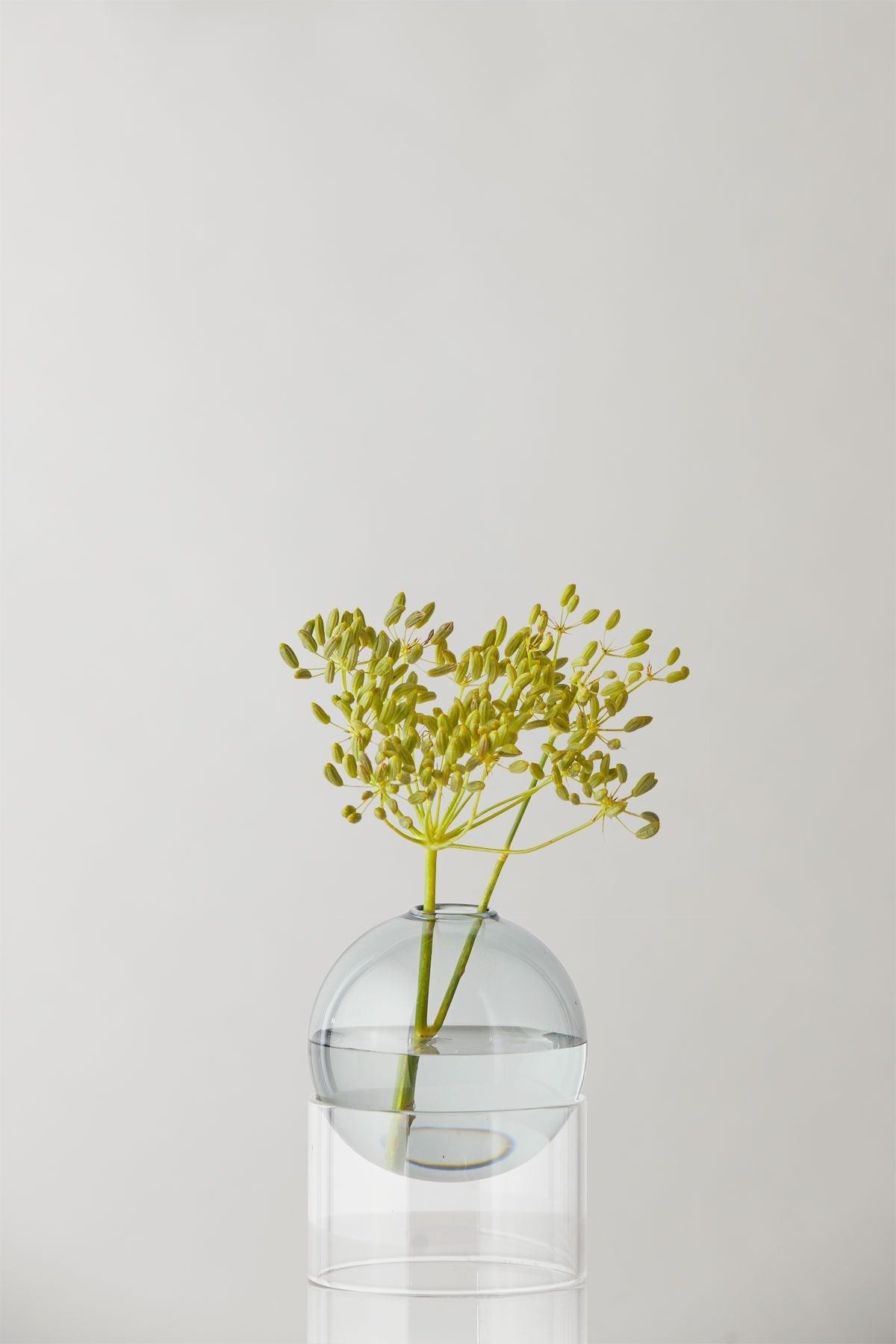 Studio sur le vase de bulles de fleur debout 10 cm, fumée