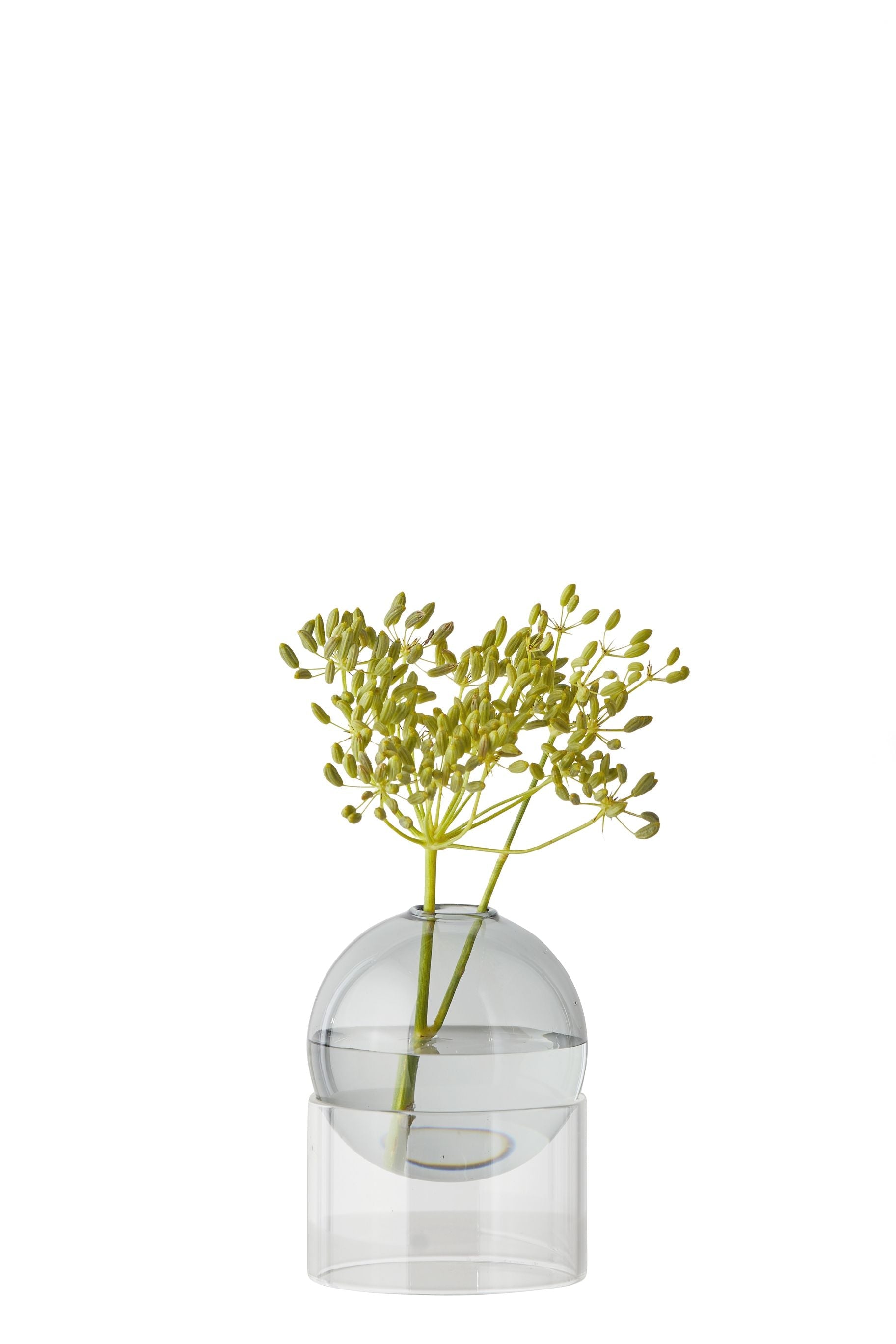 Studio sul vaso di bolle di fiori in piedi 10 cm, fumo