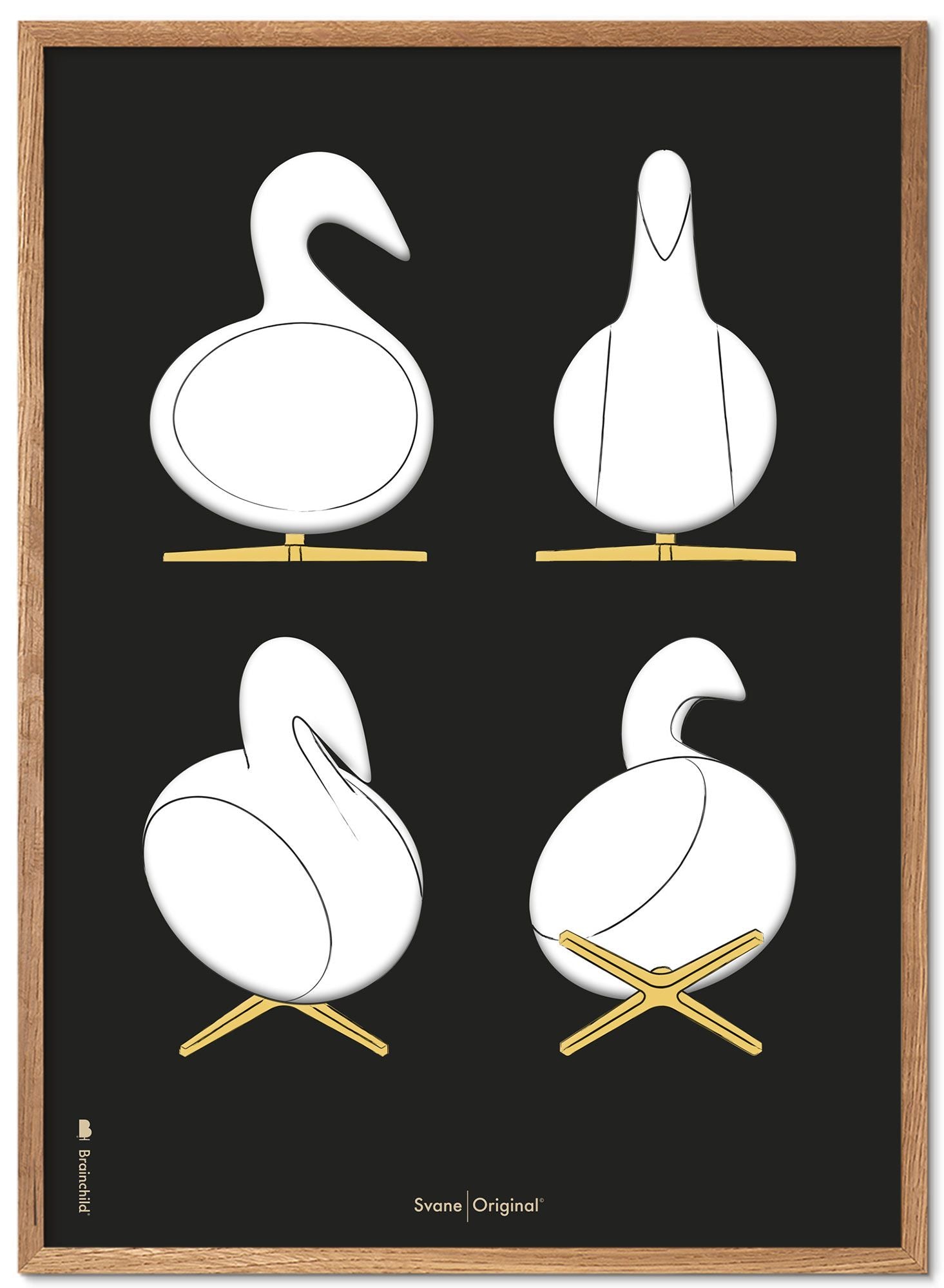 Brainchild Cygne design sketch poster cadre en bois léger 70x100 cm sur fond noir