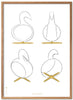 Brainchild Swan Design Sketches Poster Frame Made Of Light Wood 50x70 Cm, White Background