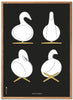 Brainchild Swan Design Skizzen Poster Rahmen Aus Leichtem Holz 30x40 Cm, Schwarzer Hintergrund