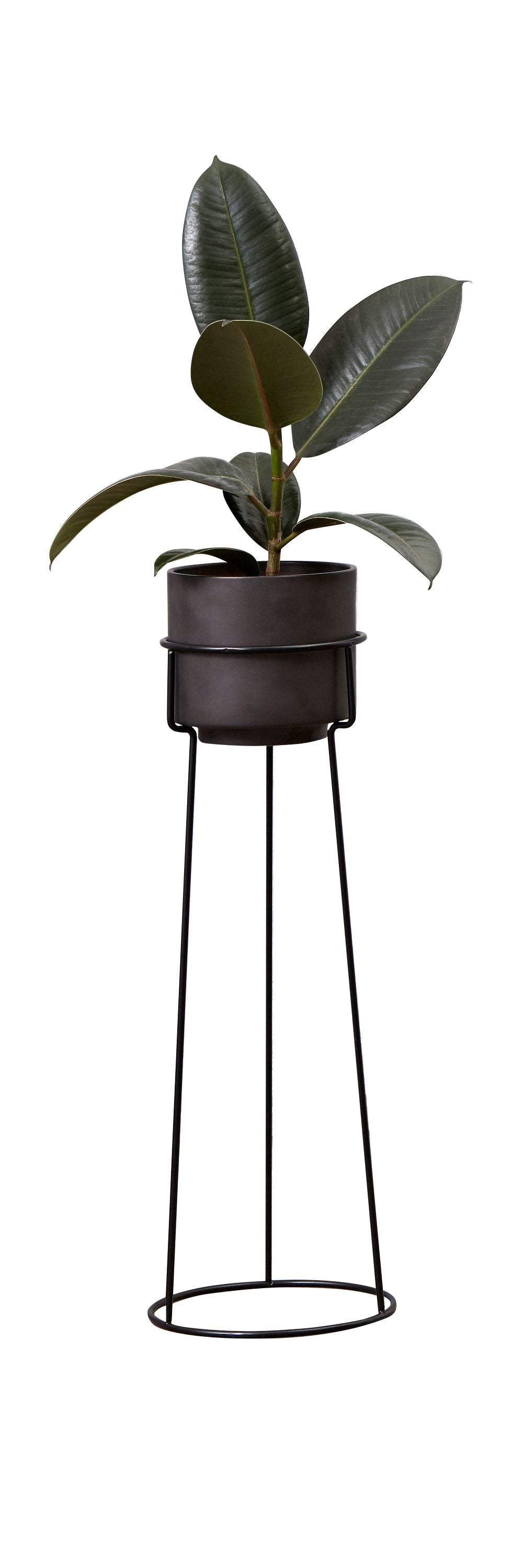 Andersen Furniture Een plantenbloemstandaard, h 48 cm