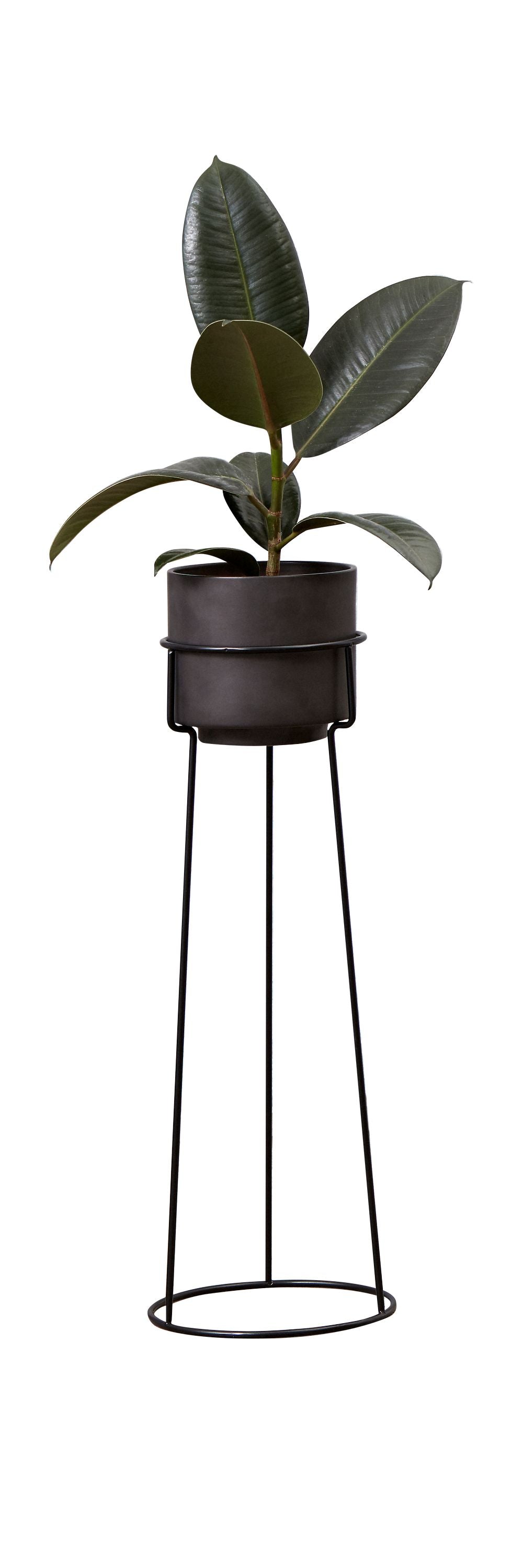 Andersen Furniture En planteblomsterpot Hxø 12x13,3 cm, mørkegrå