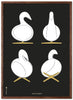 Brainchild Swan Design Sketches Julistekehys tummasta puusta 70x100 cm, musta tausta