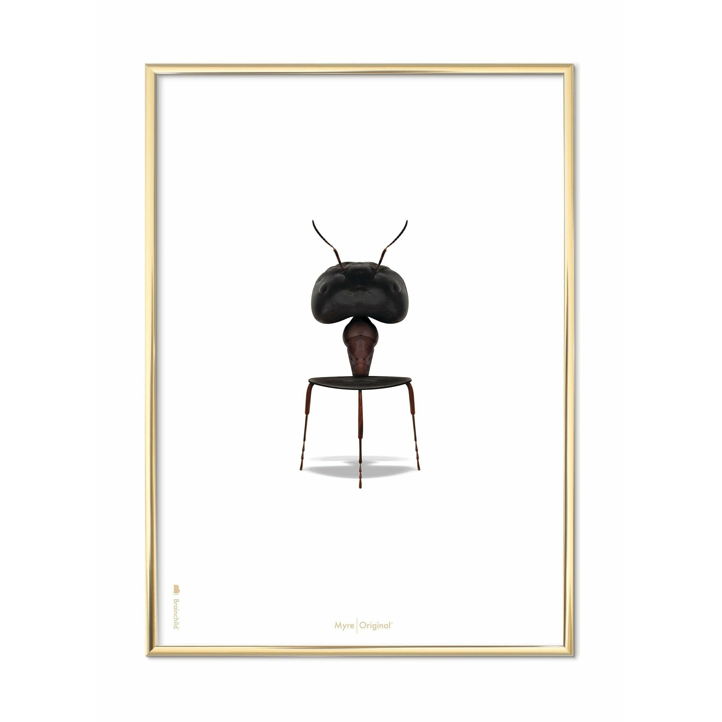 Póster clásico de hormigas de creación, marco de color de latón A5, fondo blanco