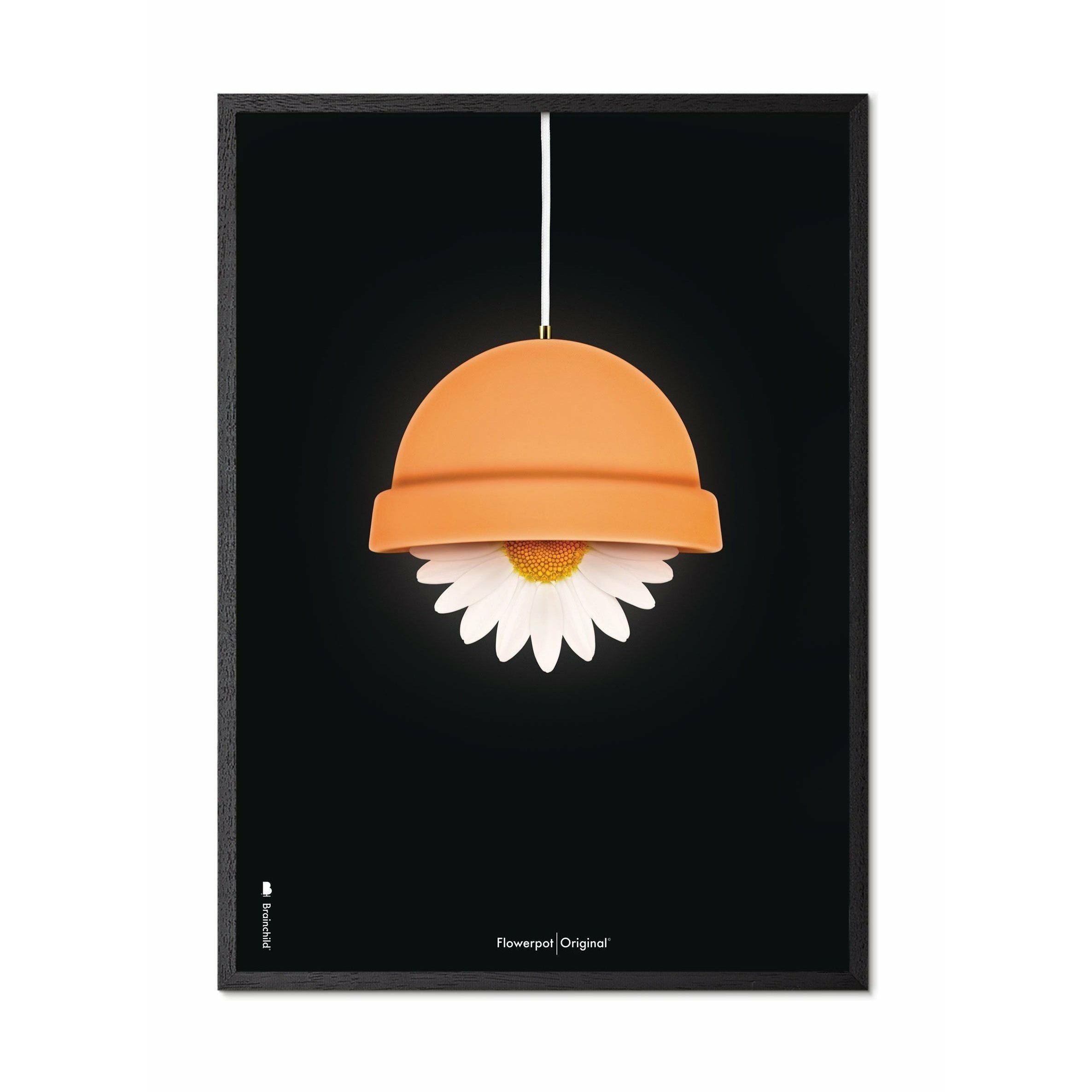 Brainchild Flowerpot Classic -affisch, ram i svart lackerat trä 70x100 cm, svart bakgrund