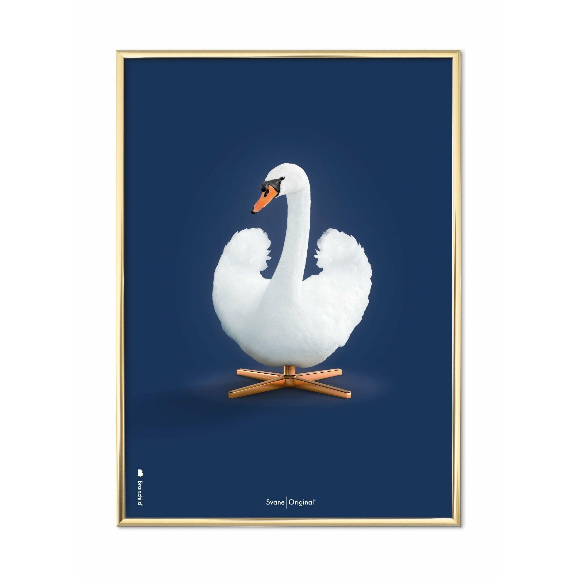 Poster classico di cigni di battaino, cornice color ottone A5, sfondo blu scuro