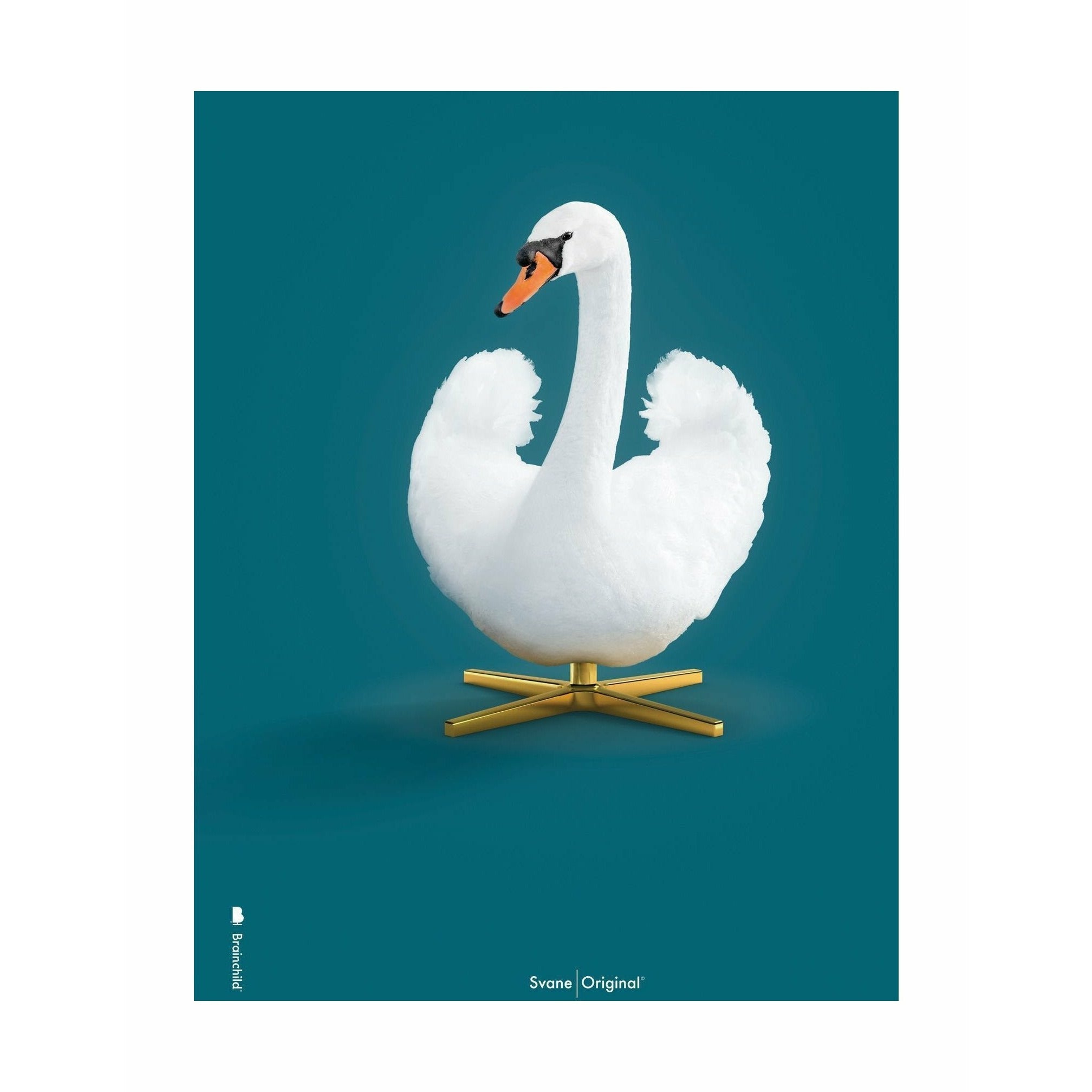 brainchild Swan Classic plakat uden ramme 30 x40 cm, olieblå baggrund