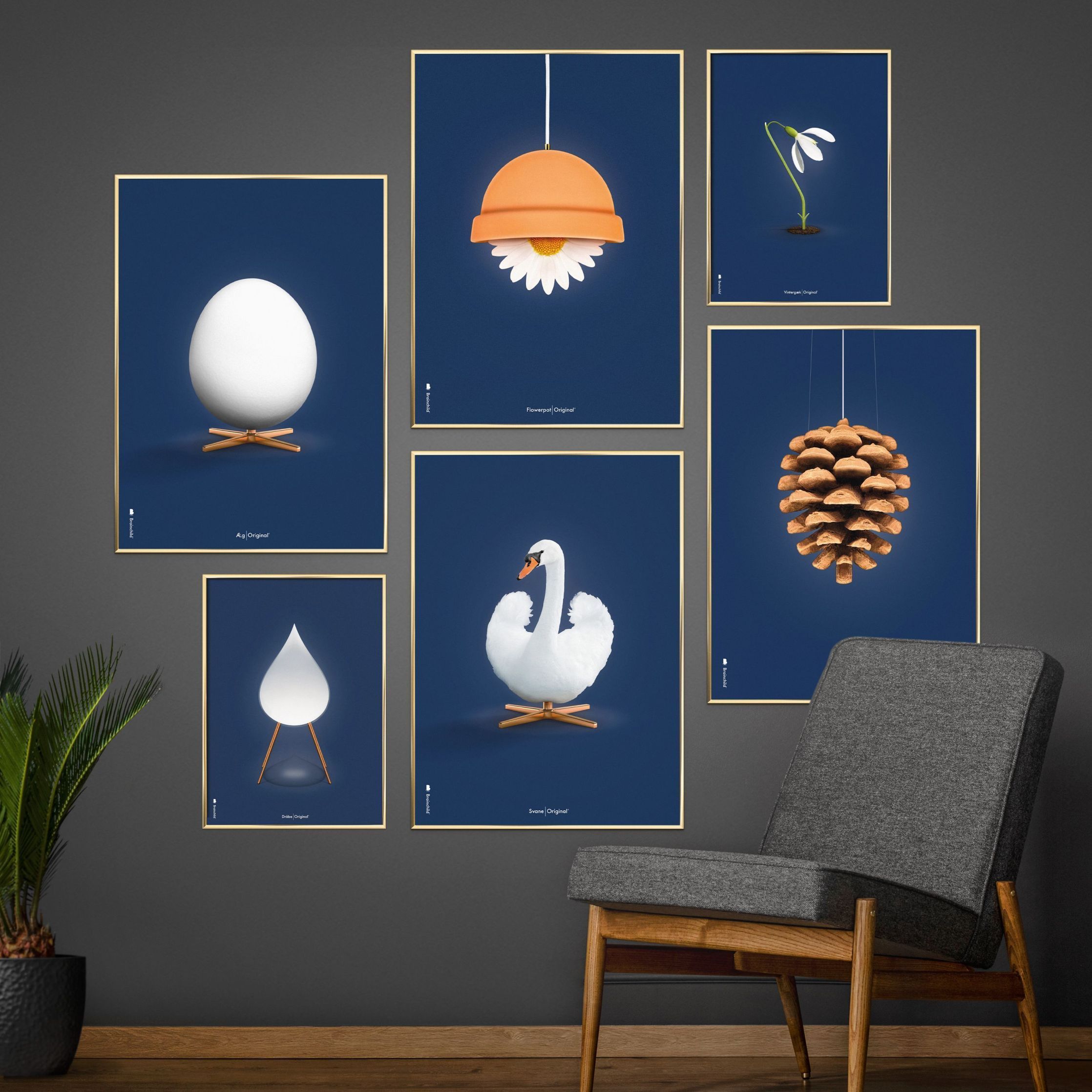 brainchild Swan Classic plakat uden ramme 70 x100 cm, mørkeblå baggrund