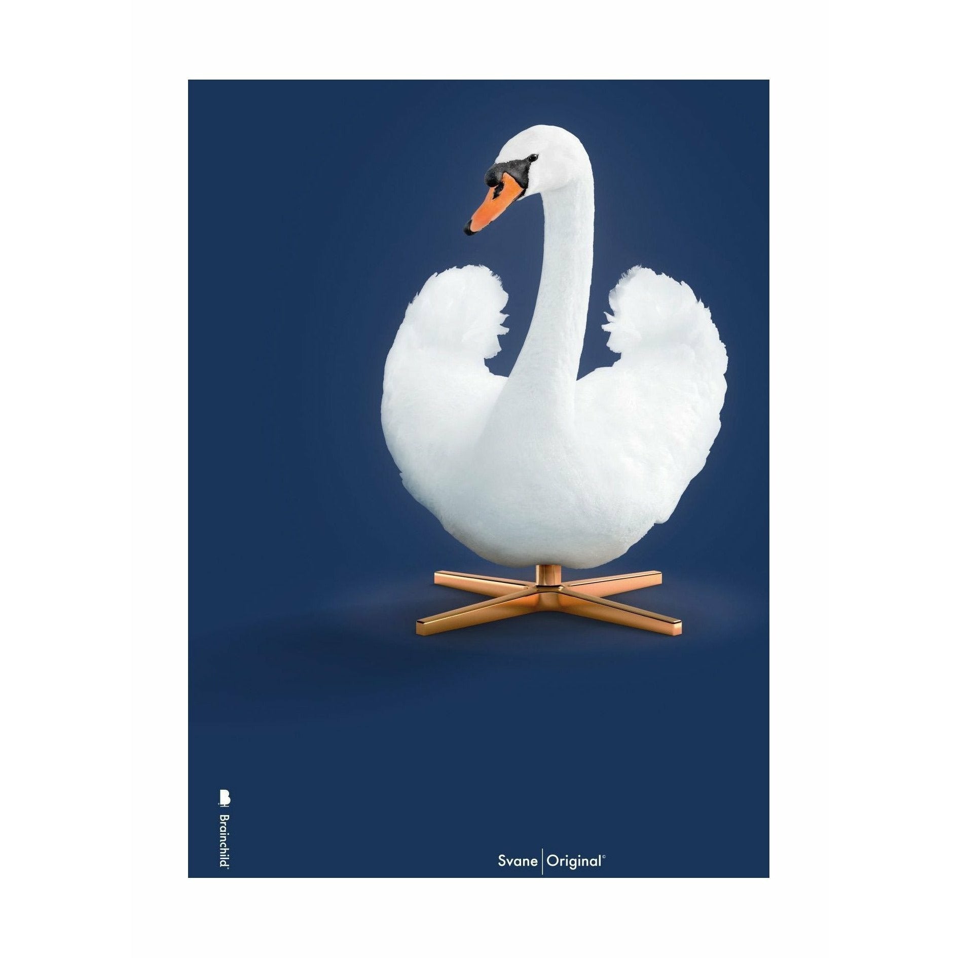 Poster classico Swan Brainchild senza fotogramma 70 x100 cm, sfondo blu scuro