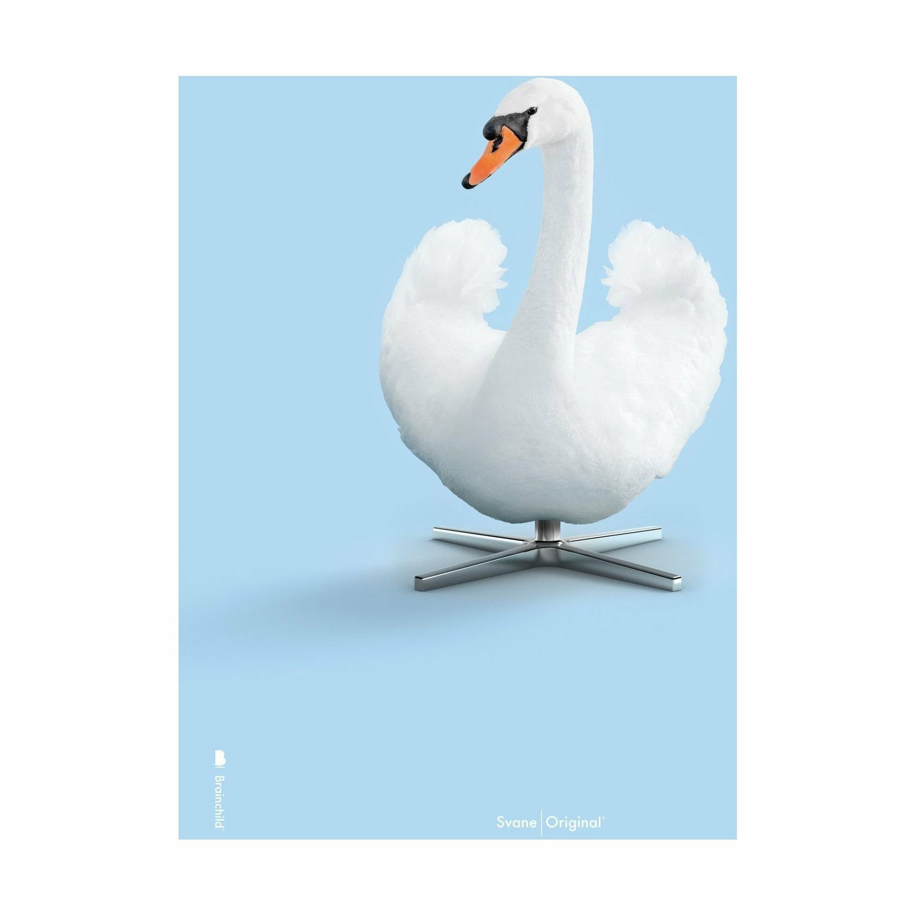 Poster classico Swan Brainchild senza fotogramma 70 x100 cm, sfondo azzurro