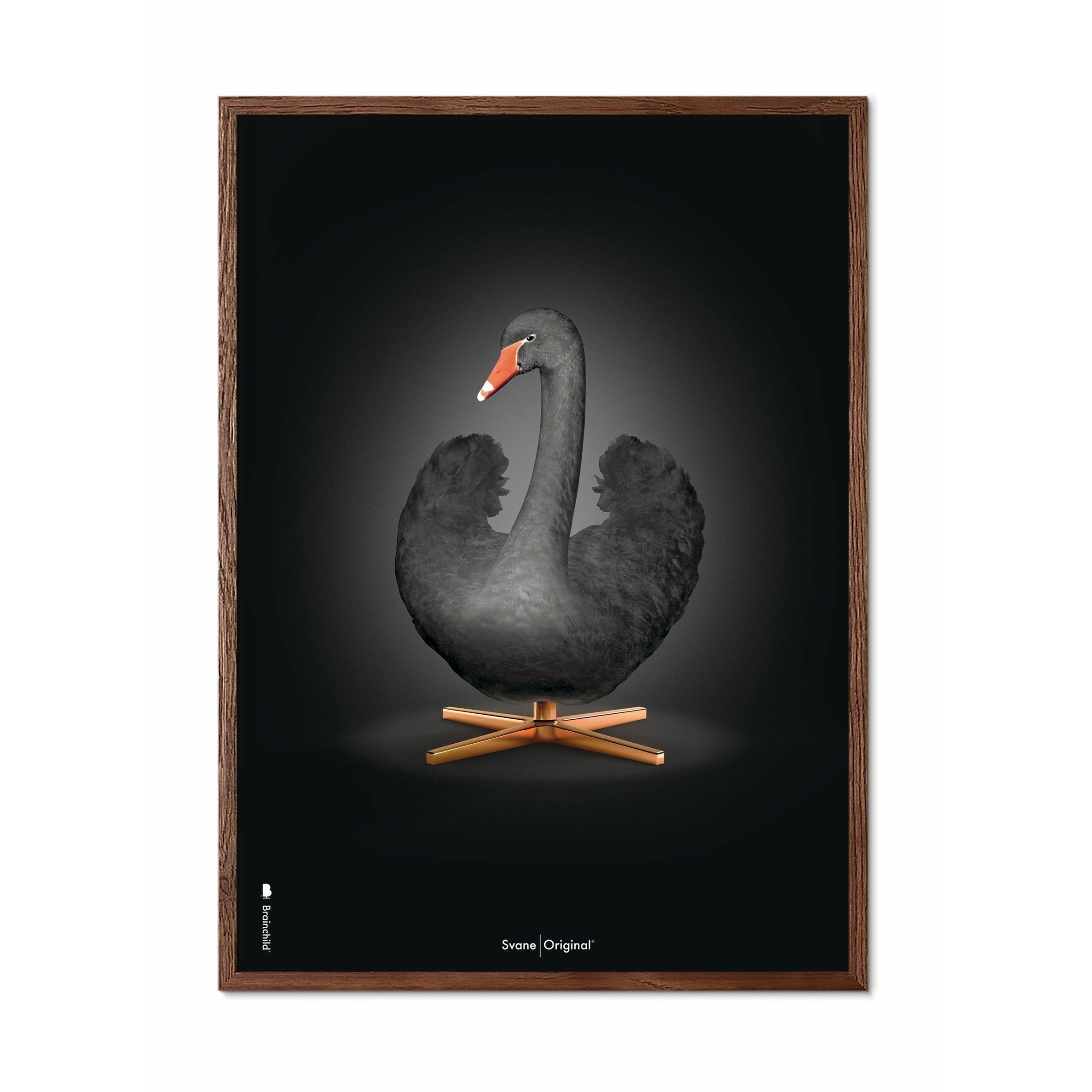 Brainchild Swan Classic -affisch, ram gjord av mörkt trä 30x40 cm, svart/svart bakgrund