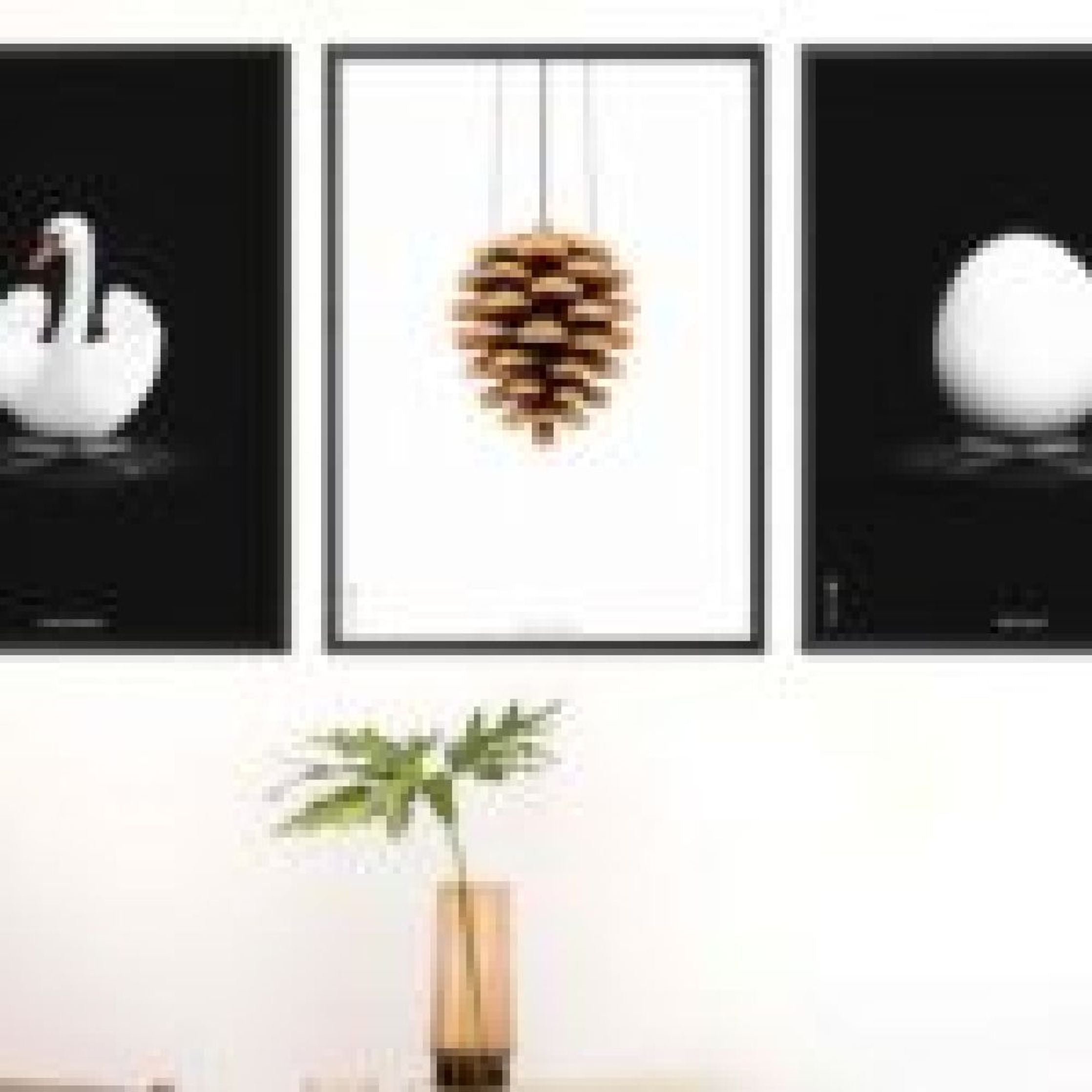 Brainchild Pine Cone Classic Poster Without Frame 50 X70 Cm, White Background