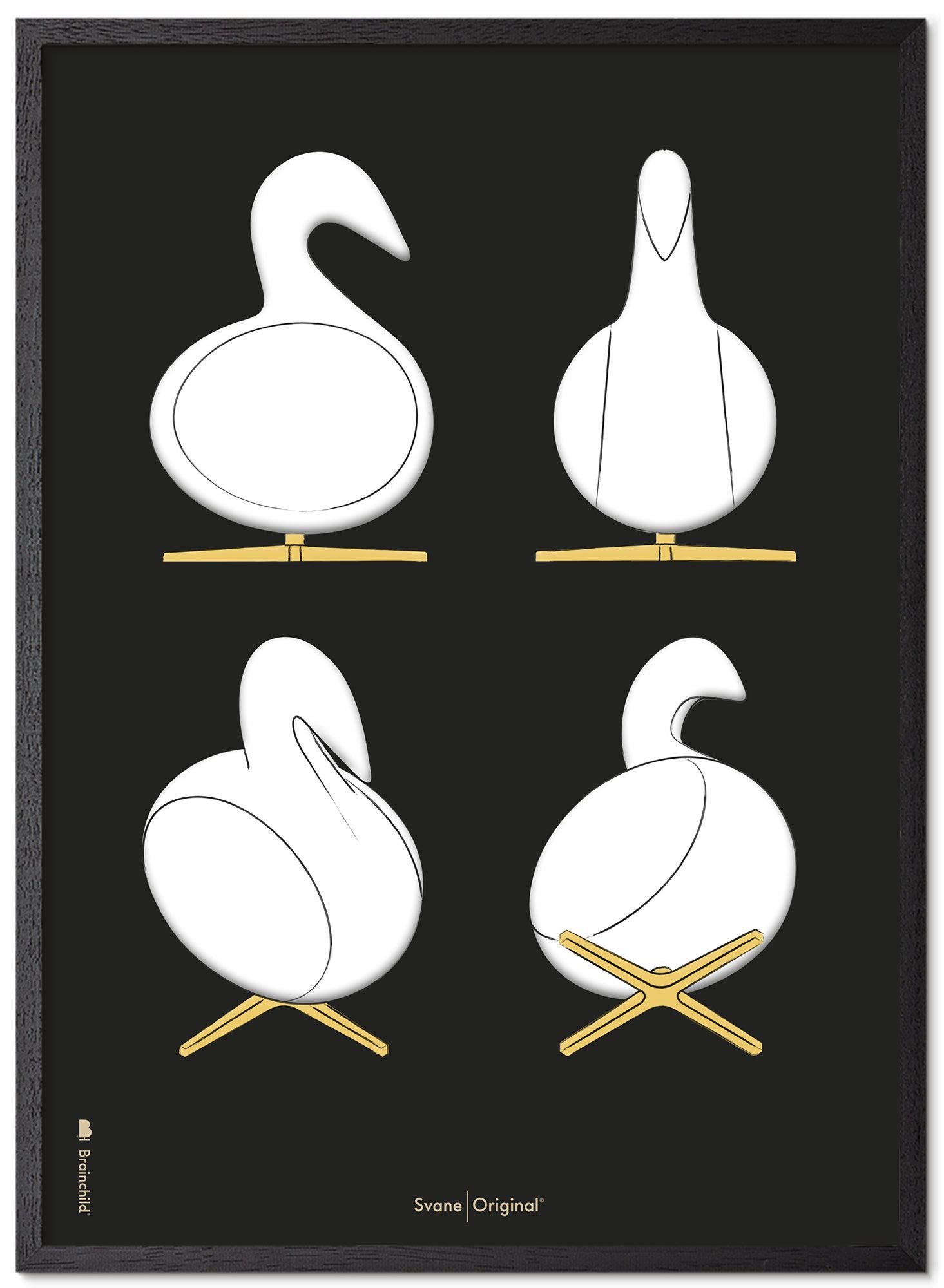 Brainchild Swan Design Sketches Plakatramme laget av svart lakkert tre 70x100 cm, svart bakgrunn