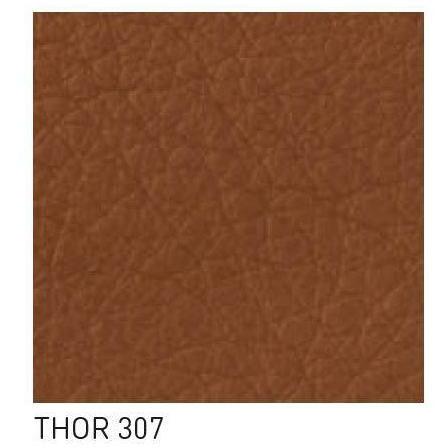 Carl Hansen Thor -näyte, Thor 307