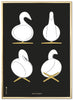 Brainchild Swan Design Skitser Plakatramme lavet af messingfarvet metal 50x70 cm, sort baggrund