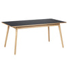 FDB Møbler C35 B Spisebordets eg, mørkegrå linoleum, 160 cm