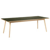 FDB Møbler C35 B Table à manger chêne, linoléum olive, 95x220cm