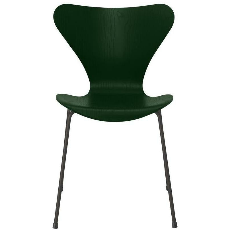 Fritz Hansen Série 7 chaise colorée de cendres à feuilles persistantes, base de graphite tiède
