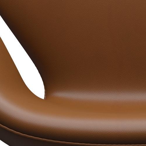 Sedia da salone Fritz Hansen Swan, bronzo marrone/noce aura