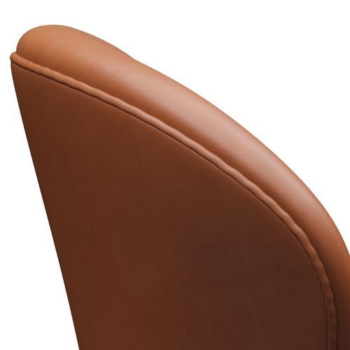 Sedia da salone Fritz Hansen Swan, bronzo marrone/noce grazia