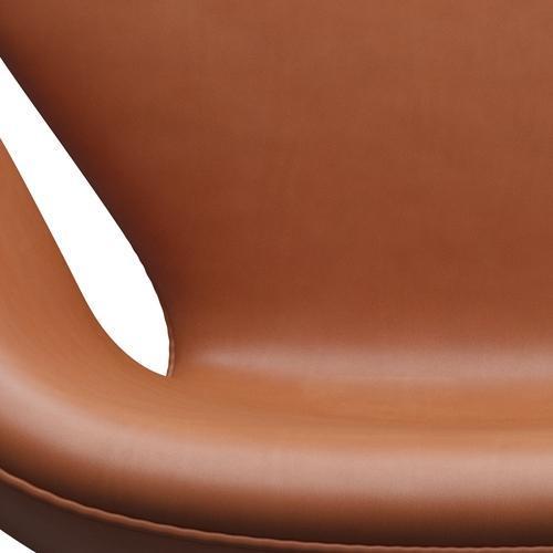 Sedia da salone Fritz Hansen Swan, bronzo marrone/noce grazia