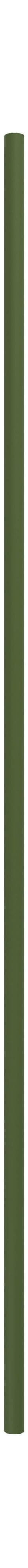 Sistema di scaffalature Moebe/gamba di scaffalature da parete 115 cm, verde pino