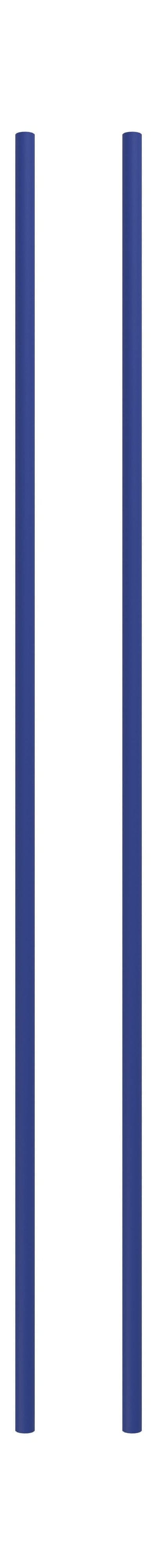 Sistema di scaffalature Moebe/gamba di scaffalature a parete 115 cm Blu intenso, set di 2