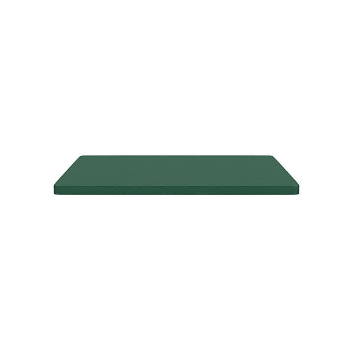 Montana Panton Wire Inlay Shelf 34,8x33 cm, verde pino