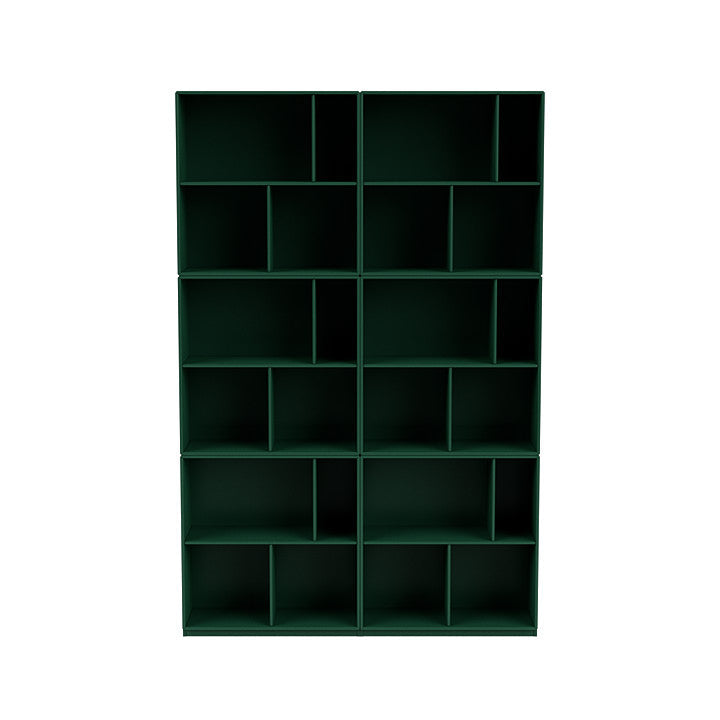 Il Montana leggi la spaziosa scaffale con plinth da 3 cm, verde pino