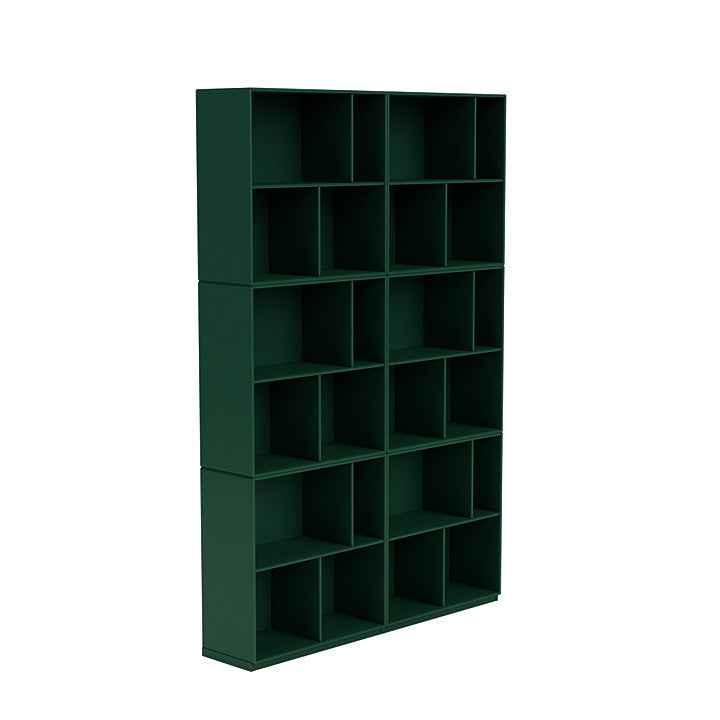 Il Montana leggi la spaziosa scaffale con plinth da 3 cm, verde pino