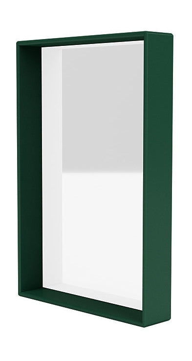 Montana Shelfie Mirror With Shelf Frame, Pine Green