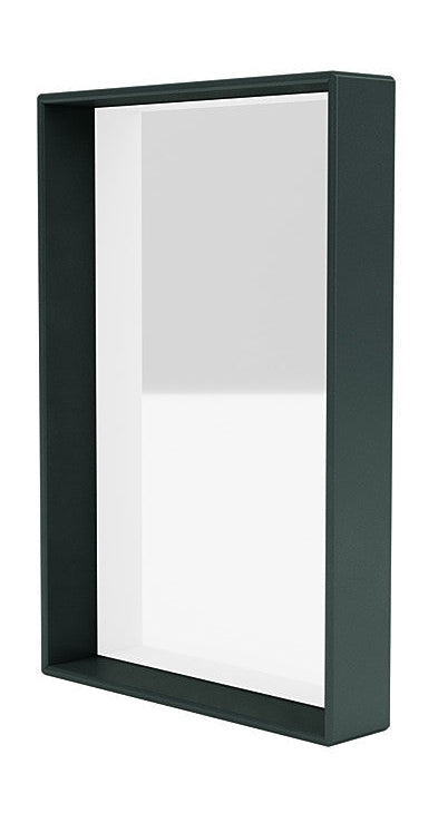 Mirror de la sillgie du Montana avec cadre d'étagère, Jade noir