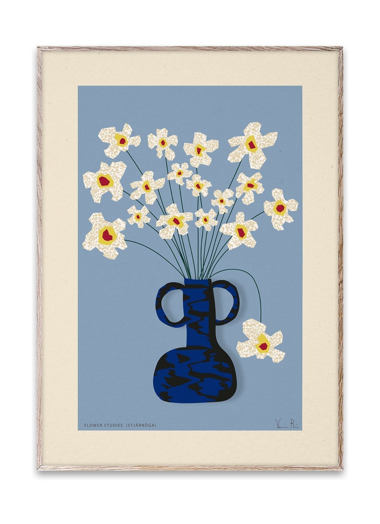 Paper Collective Flower Studies 04 (Stjärnöga) Poster, 30x40 Cm