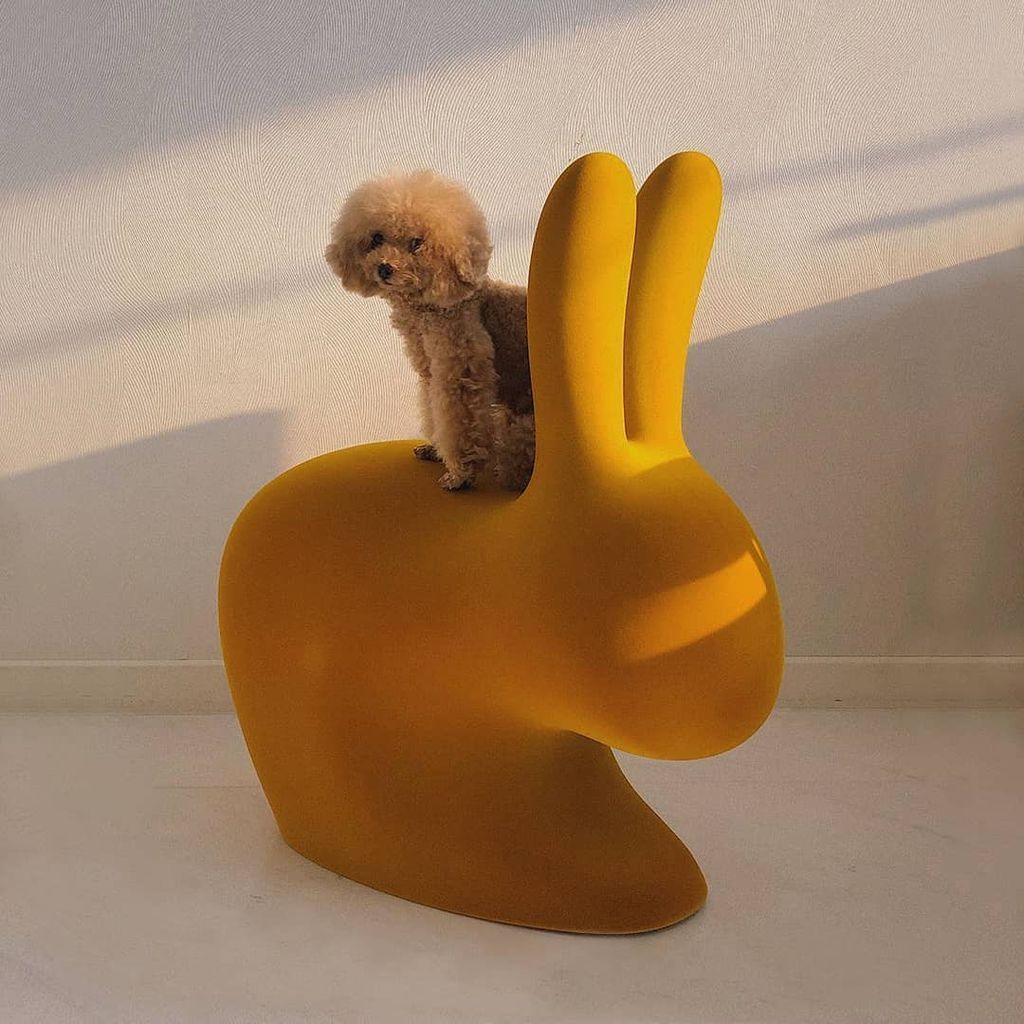 Qeeboo Bunny -stoel fluwelen afwerking, donker goud