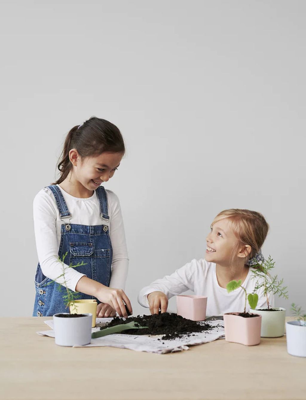 Rigg tig dina trädblommor med frön, gul