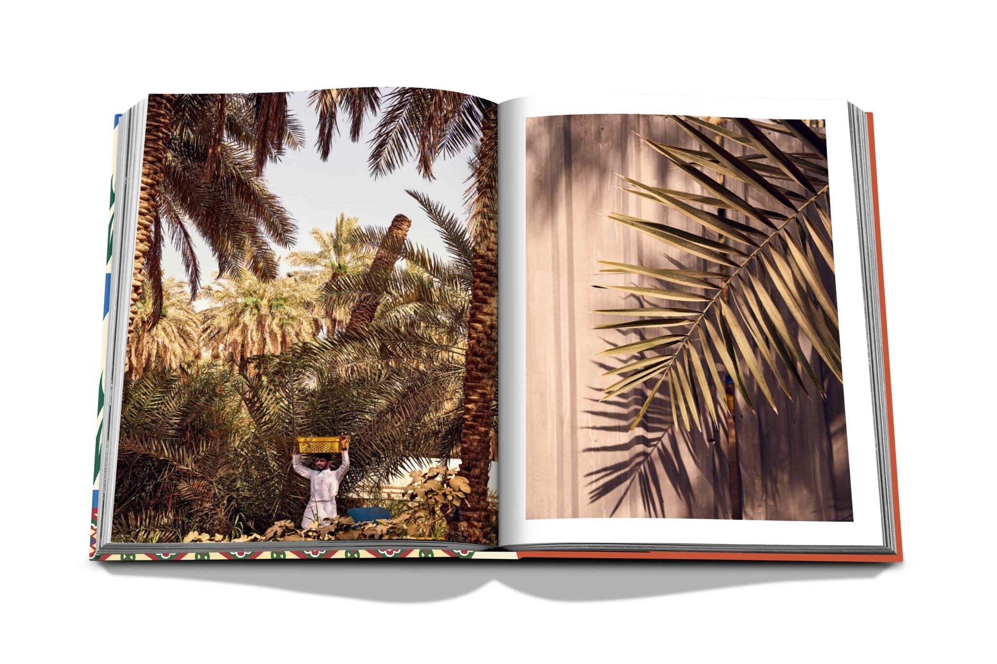 Assouline Saudi Dates: A Portrait Of The Sacred Fruit