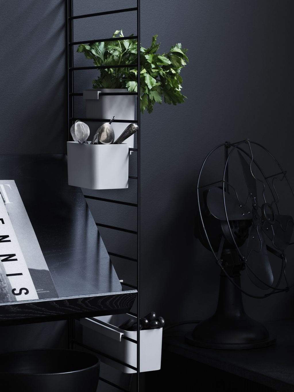 Streng møbler streng system magasin brett tre svart farget aske, 30x78 cm