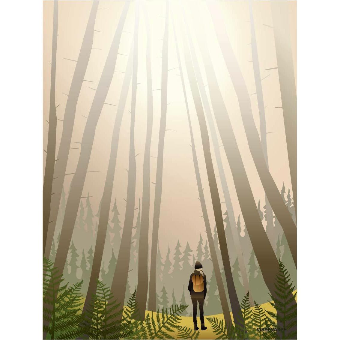 Vissevasse In i skogen affisch, 50 x70 cm