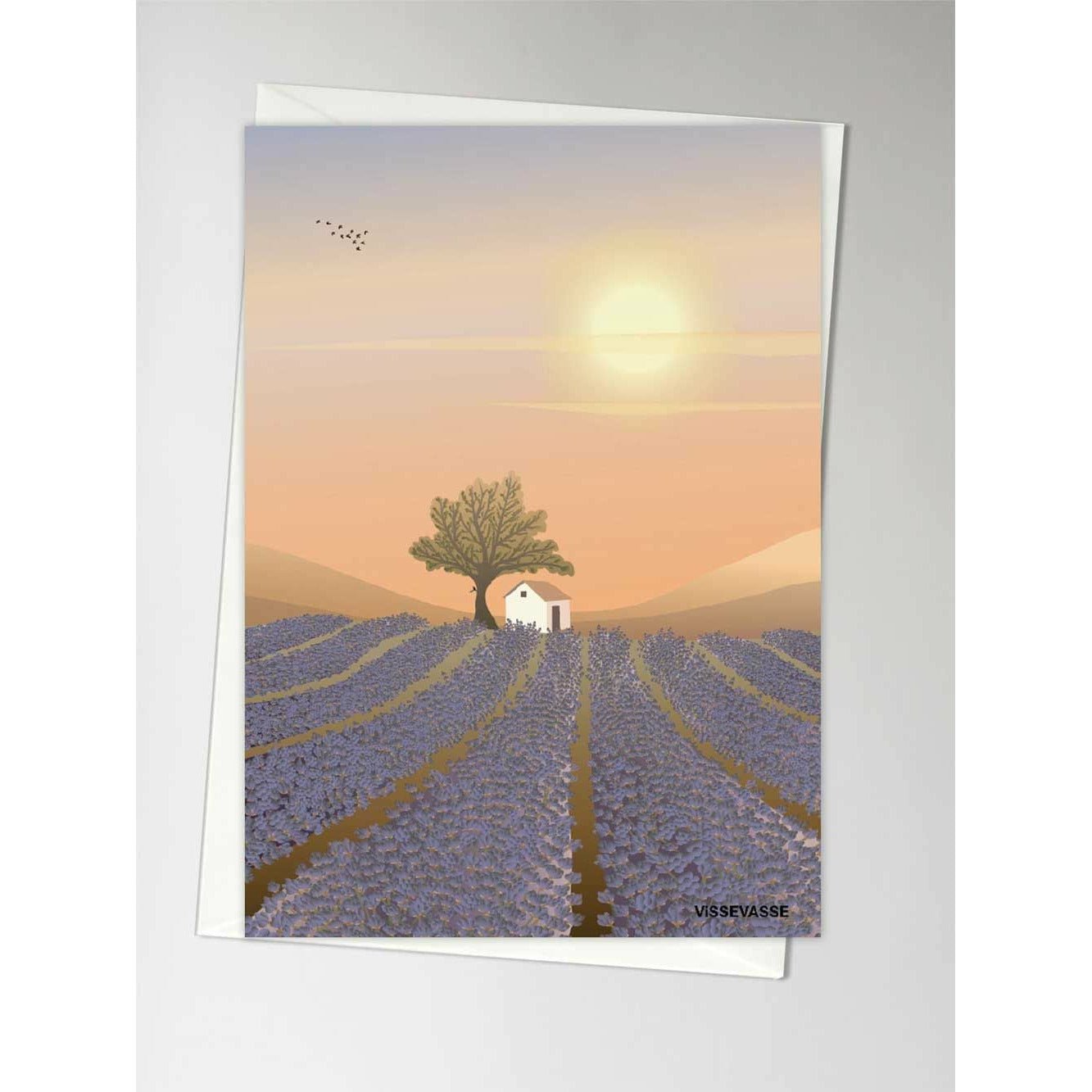 Vissevasse Lavender Field gratulasjonskort, A6