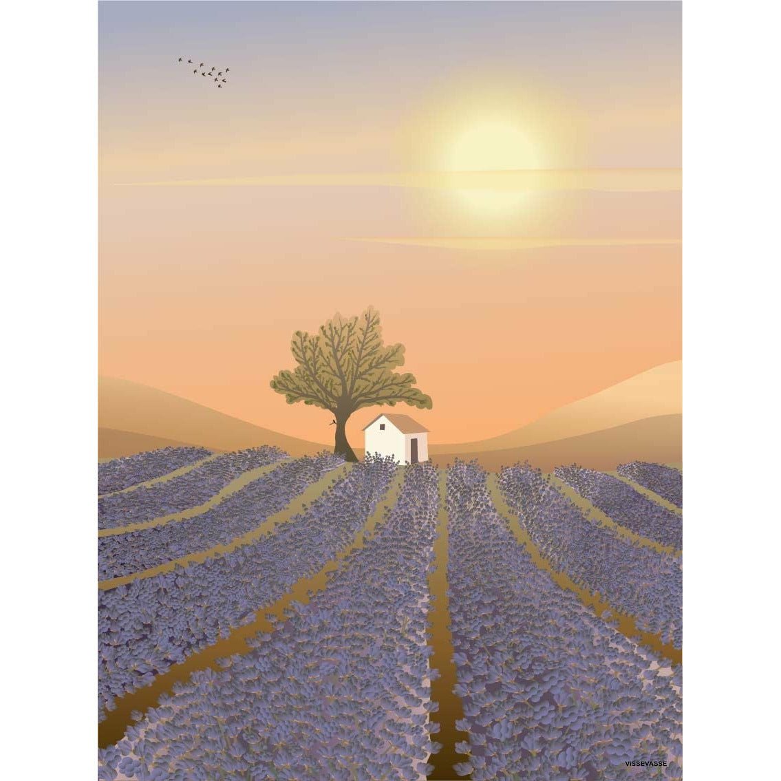 Vissevasse Lavendel Field Poster, 30x40 cm