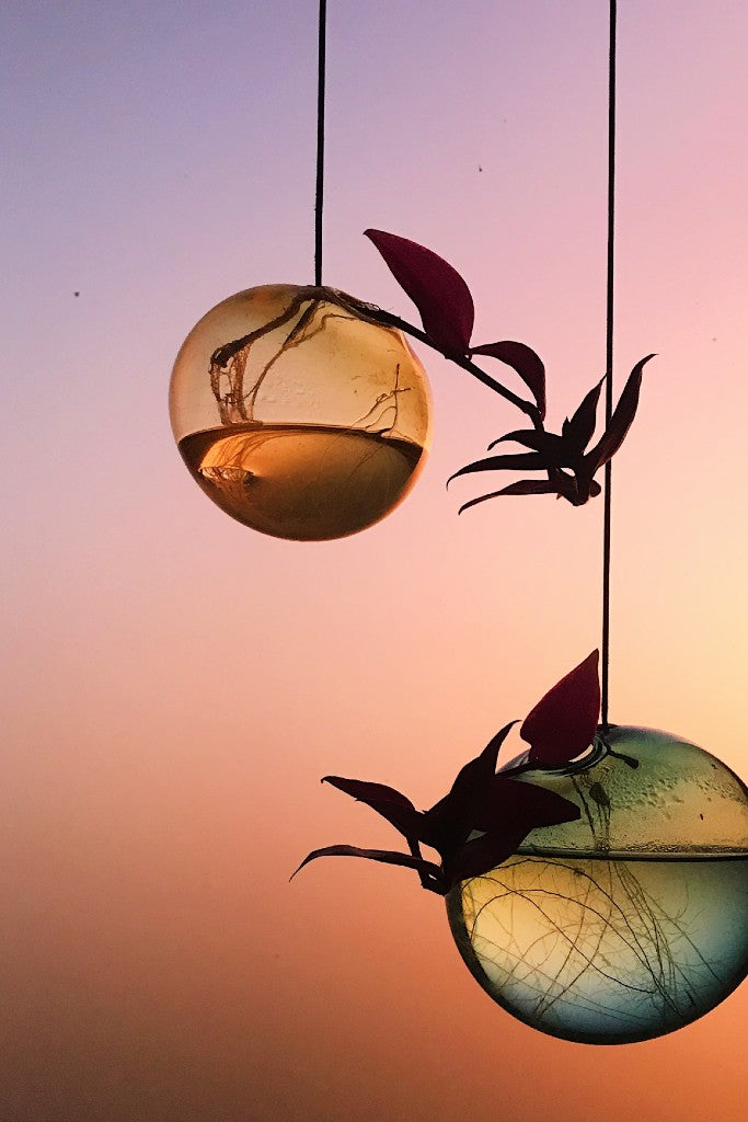 Studio sur la suspension du vase à bulles de fleurs, jaune