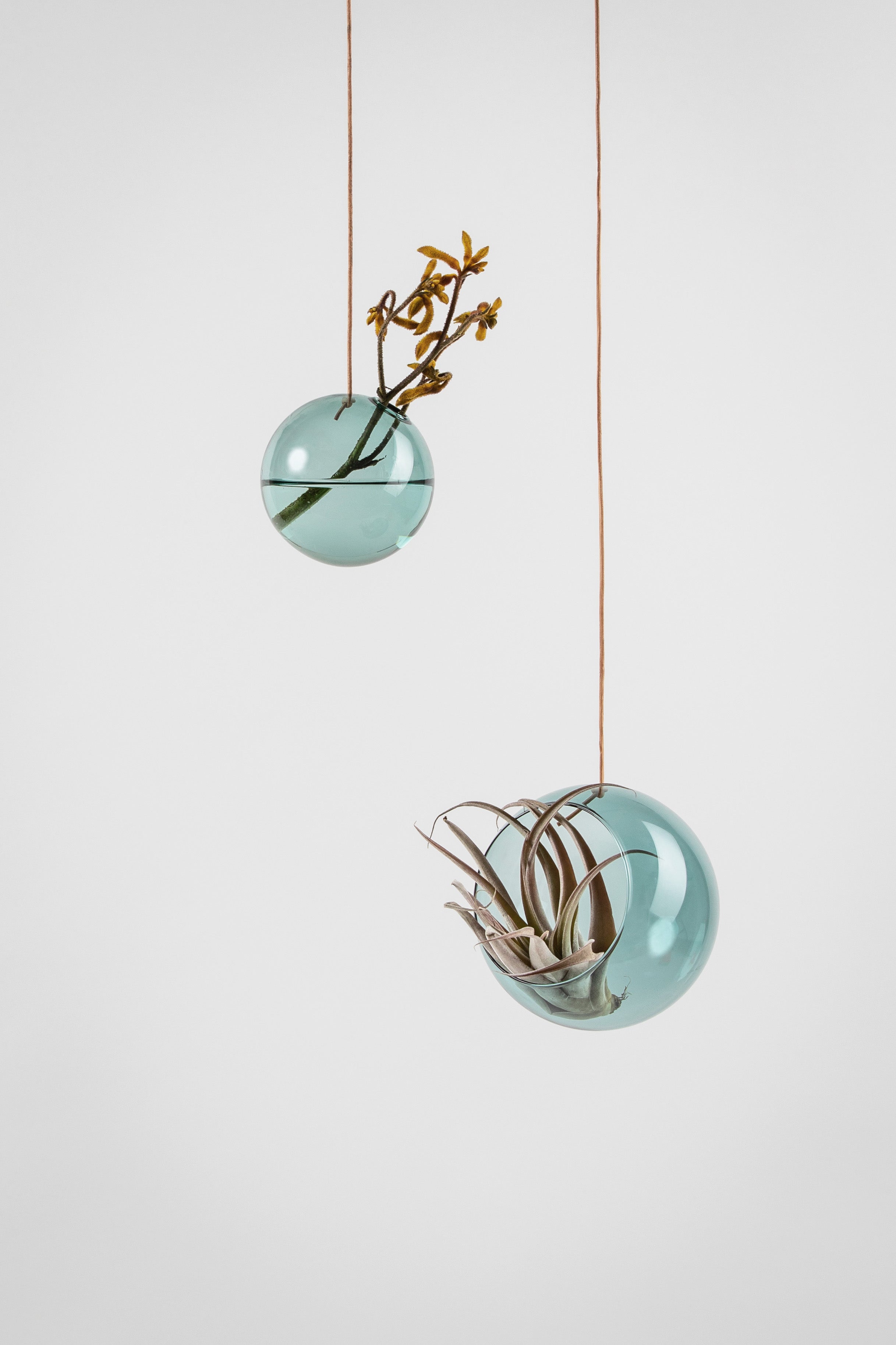 Studio sur le vase de bulles de fleurs suspendus petit, cyan