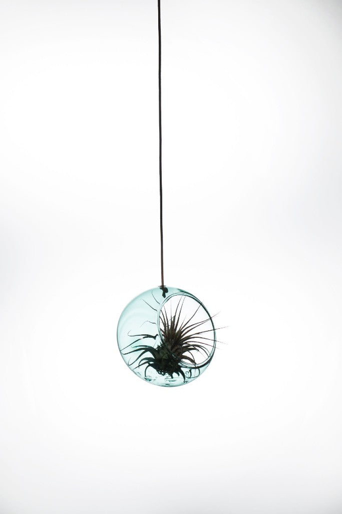 Studio About Hanging Plant Bubble Vase Small, Cyan