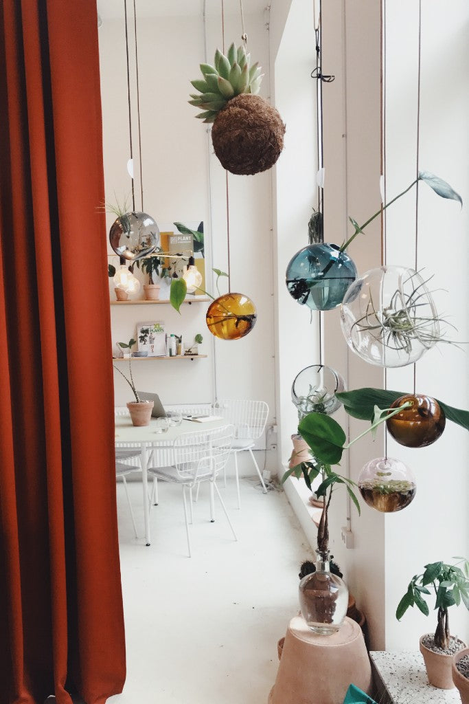 Studio sur le vase à bulles de plantes suspendues grandes, transparentes